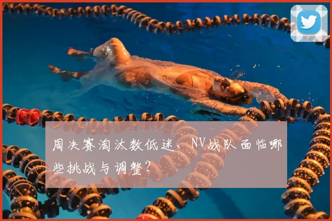 周决赛淘汰数低迷,NV战队面临哪些挑战与调整?